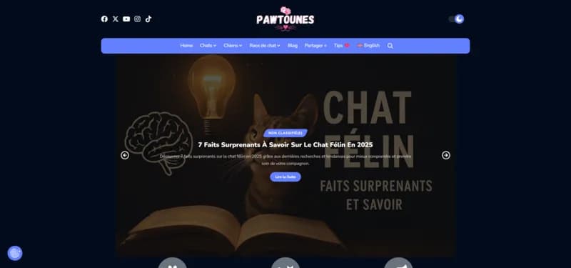 Pawtounes